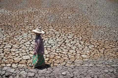Thailand names 27 drought-hit provinces disaster zones