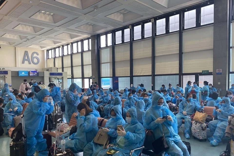 Over 340 Vietnamese citizens return from Taiwan (China) 