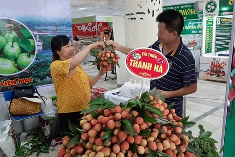 Thanh Ha lychee fair opens in Hanoi 