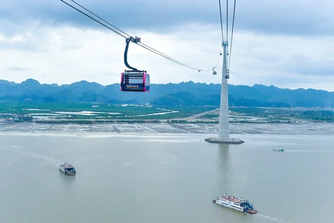 Cable line with world's highest track rope to be inaugurated in Hai Phong