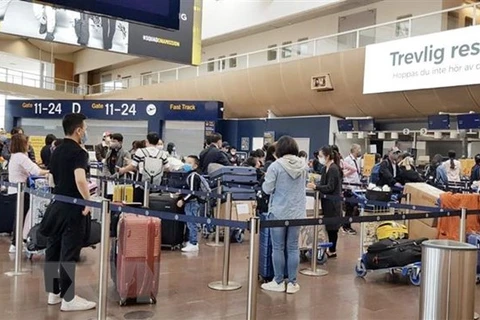 Over 300 Vietnamese flown home from European countries 