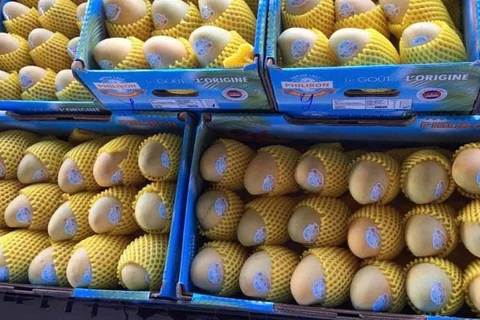 Cambodia to export 500,000 tonnes of mangoes to China annually