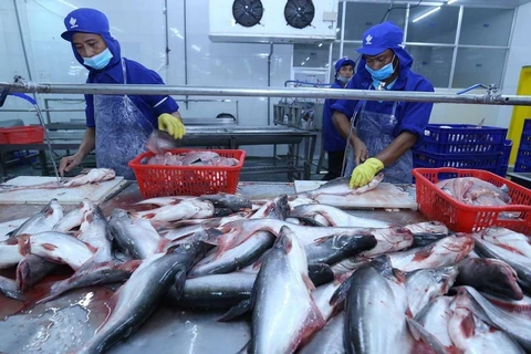 Tra fish exports plummet 39 pct. in first five months
