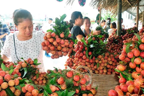Veggie, fruit exports exceed 1.5 billion USD in first half