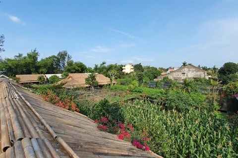 Zero-waste communities start to emerge in Hoi An