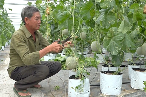 Dong Thap keen on switching to efficient irrigation