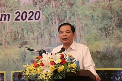 Minister requests efforts for forestry protection, development