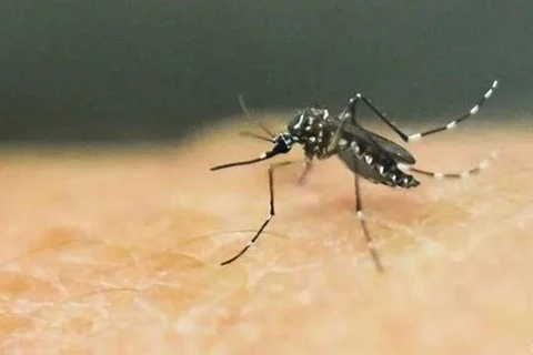 Laos reports over 2,000 cases, five deaths from dengue fever