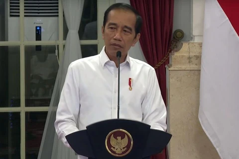 Indonesian President orders quick disbursement of budget for COVID-19 fight