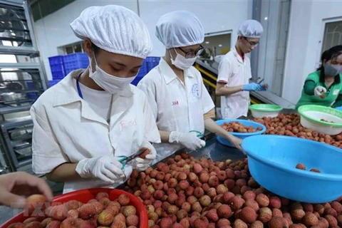 Vietnam, Japan discuss boosting trade of consumer goods 
