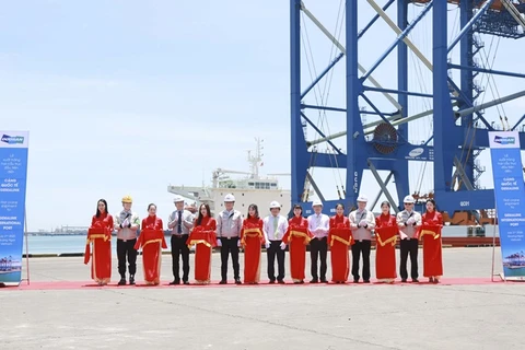 Cranes shipped to port in Ba Ria-Vung Tau province