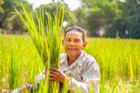 Cambodia encourages unemployed people to take up farming