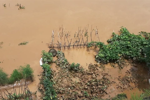 Northern Lao Cai province hardest hit by heavy rain 