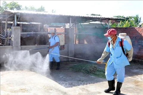 Ministry calls for drastic measures to control dengue fever