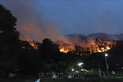 Forest fires a burning problem during dry season
