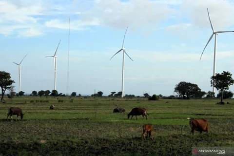 Indonesia holds potential of 442.4GW in renewable energies
