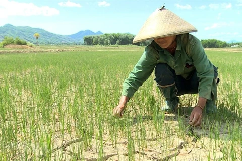 Hot weather continues to hit central provinces