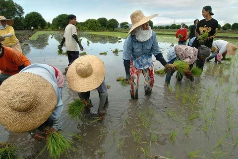 Philippines, WB sign 370 million USD loan deal to assist Filipino farmers