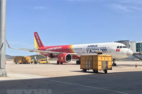 Nearly 180 Vietnamese citizens flown home from Brunei