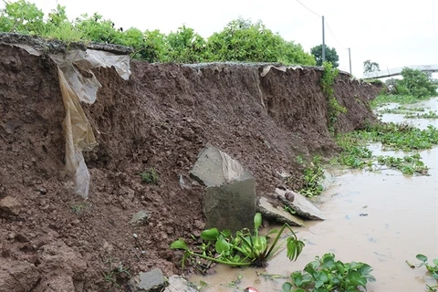 Mekong Delta faces increasing erosion along rivers, canals