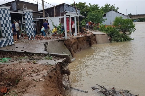 Heavy rains, strong winds damage houses in Mekong Delta