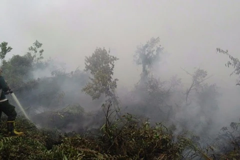 ASEAN works to respond to transboundary haze pollution