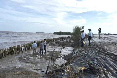 Ca Mau reports serious erosion in western sea dyke