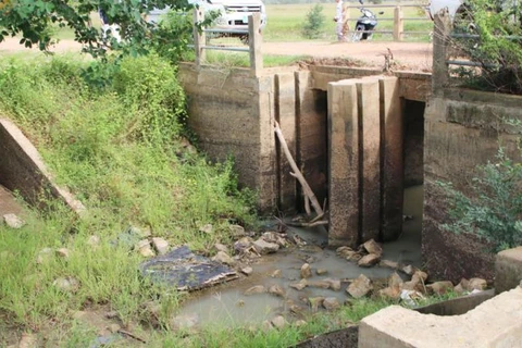 Drought destroys over 40,000ha of rice in Cambodia 