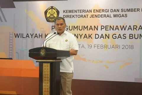 Indonesia offers 10 oil and gas projects in 2020