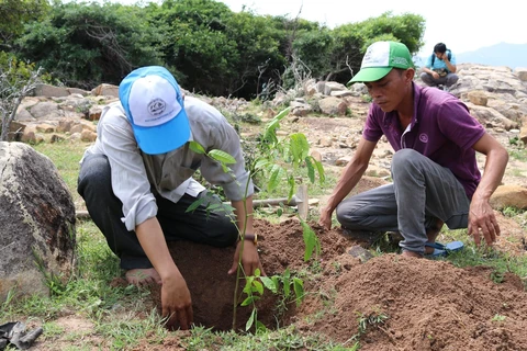 Ninh Thuan promotes measures to expand forest coverage