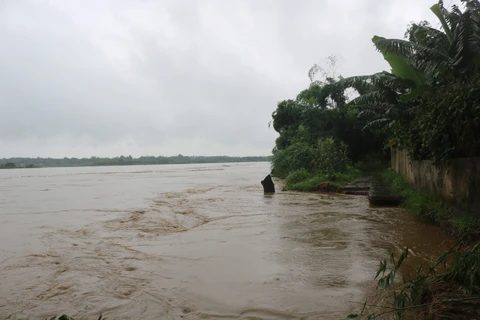 Northern areas urged to brace for more rain