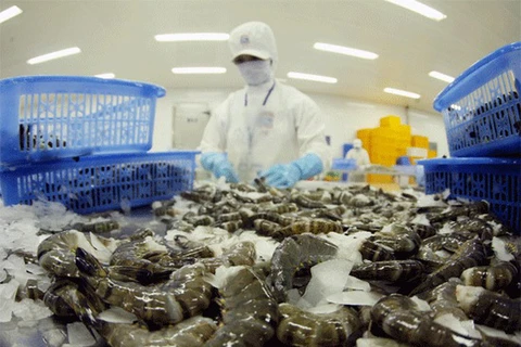 RoK increases import of Vietnam’s shrimps