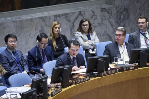 Vietnam calls for secure, unobstructed humanitarin access for Syria