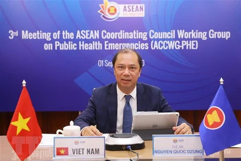 ASEAN cooperation in COVID-19 fight reviewed 