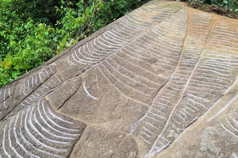 More ancient slabs with engravings of terraced fields found in Yen Bai