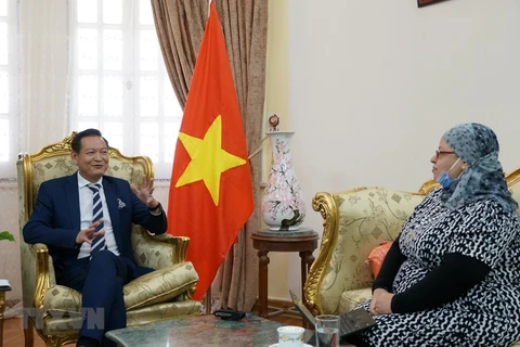 Vietnam's National Day celebrated in Egypt, South Africa