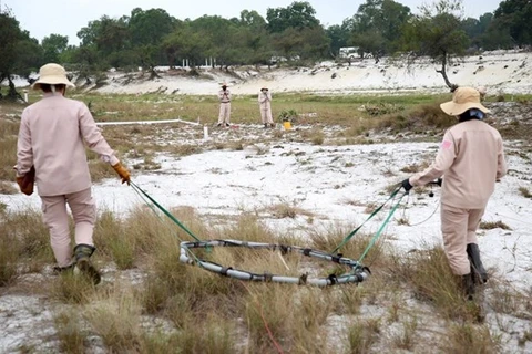 International donors assist Quang Tri’s bomb, mine clearance efforts