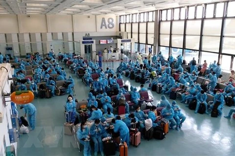 230 Vietnamese citizens flown home 