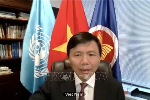 Vietnam backs UN – OIF cooperation: ambassador