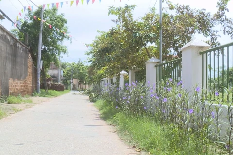 Residents in Dong Tam commune join hands to build new-style rural area 