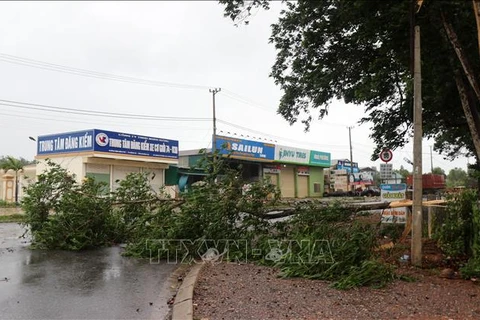 Localities deal with consequences of Storm Noul