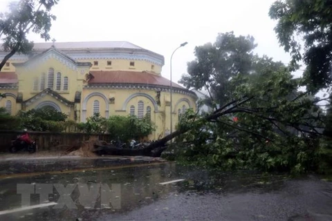 Storm Noul makes landfall in Thua Thien-Hue