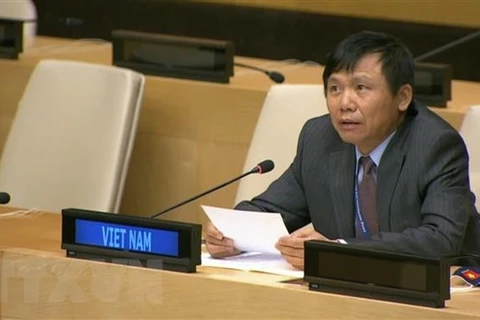 National defence tradition makes Vietnam’s success at UN: Ambassador