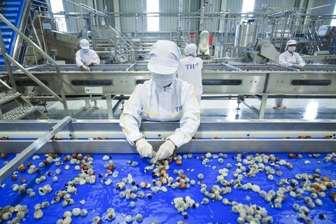 Fresh fruit-herb processing factory comes into operation in Son La