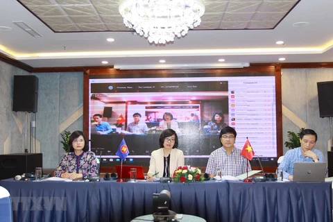 Vietnam holds national consultation on promoting social work in ASEAN