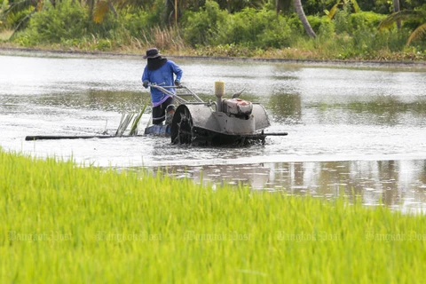 Thailand sees opportunities to boost rice exports to EU