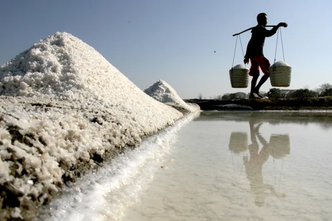 Indonesia seeks way to cut down salt imports 