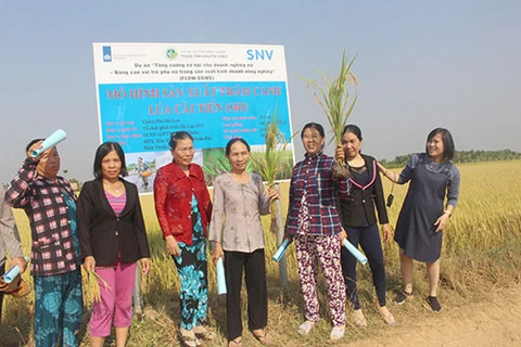 Dutch-funded project empowers women in Binh Thuan