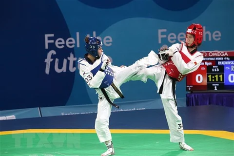 RoK supports Vietnam in developing Taekwondo