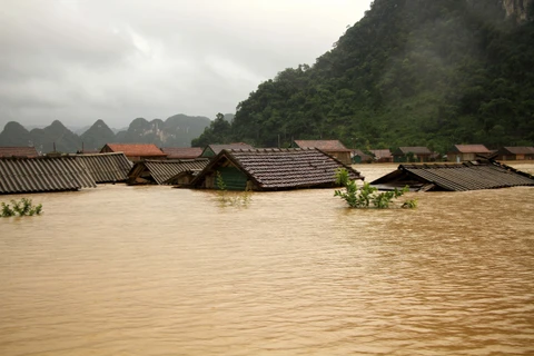 Central steering committee urges continued actions in response to floods in central region